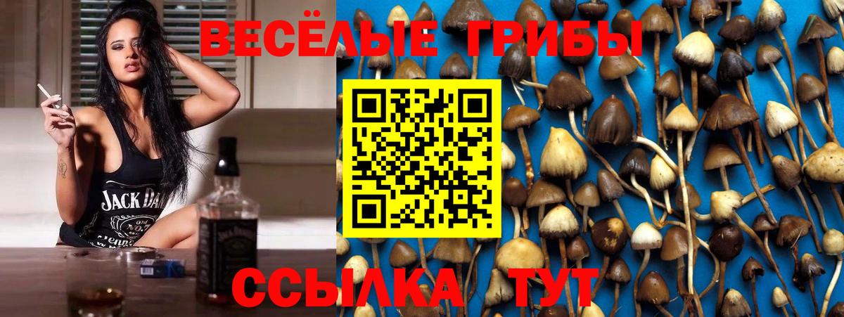 Щёлково  Псилоцибиновые грибы MAGIC MUSHROOMS  Вход с VPN 