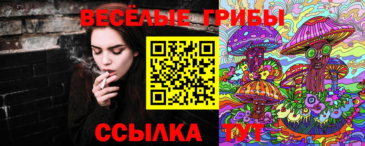 Псилоцибиновые грибы Psilocybe Щёлково